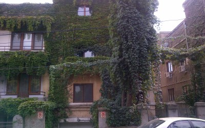 Apartament Dorobanti, Aviator Iliescu
